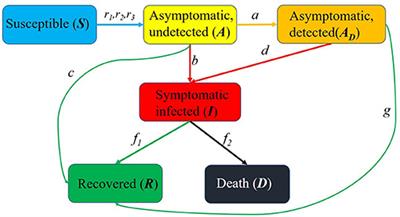 Modeling the COVID-19 Epidemic With Multi-Population and Control Strategies in the United States